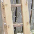 Сани С.П. Артемьева