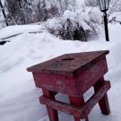 Уж не знаю, сколько лет живет на свете табурет? <br />На кухне у стола стоял, уют карельский создавал.